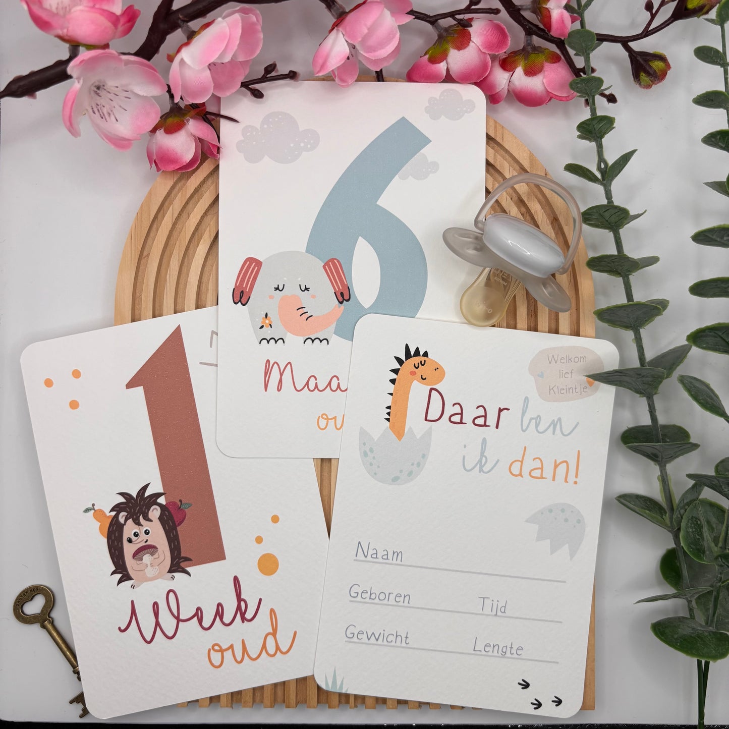 Mijlpaalkaarten Set 31 kaarten – Colorful World | Baby’s Eerste Jaar met Dieren