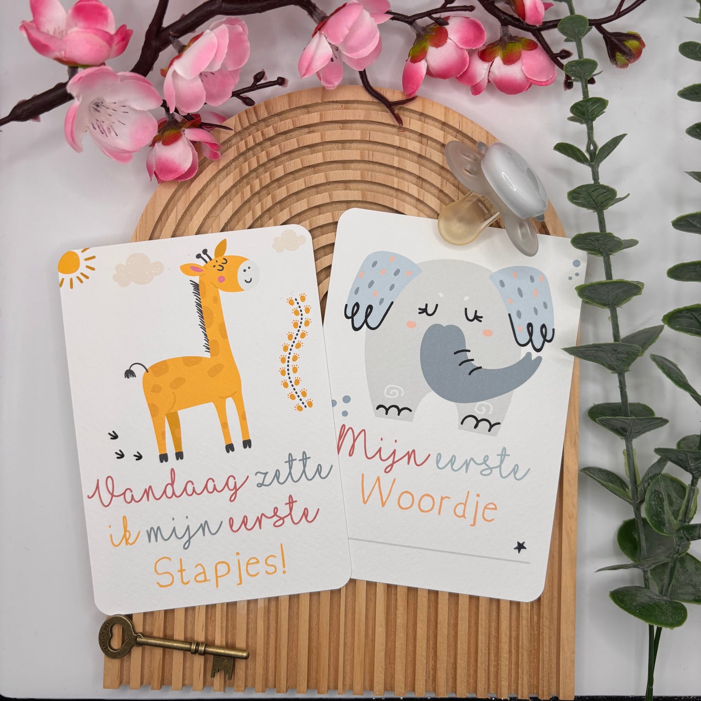 Mijlpaalkaarten Set 31 kaarten – Colorful World | Baby’s Eerste Jaar met Dieren