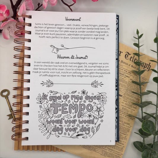 Introductie pagina mental health journal met uitleg