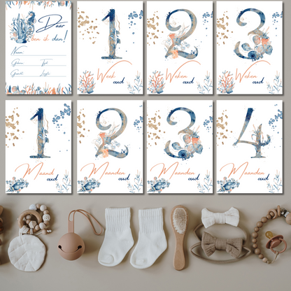 Mijlpaalkaarten Set 31 kaarten – Ocean Wonders | Baby’s Eerste Jaar met Onderwaterdieren