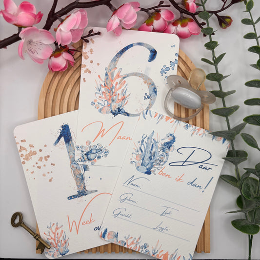Mijlpaalkaarten Set 31 kaarten – Ocean Wonders | Baby’s Eerste Jaar met Onderwaterdieren