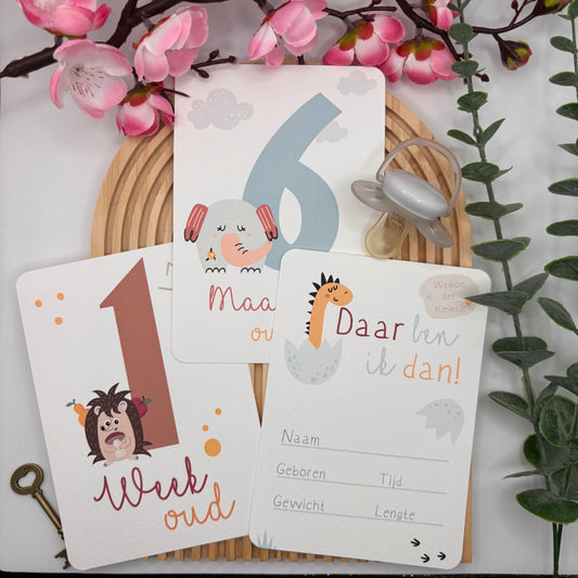 Mijlpaalkaarten Set 31 kaarten – Colorful World | Baby’s Eerste Jaar met Dieren
