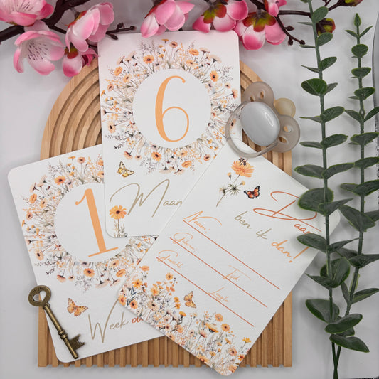 Mijlpaalkaarten Set 31 kaarten – Wildflowers | Baby’s Eerste Jaar in Watercolor Stijl