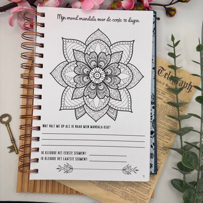 1 van de 3 mood mandala van het mental health journal van Hip Kaartje